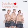 Satu Hati Sampai Mati - Single