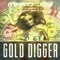 Gold Digger - Mario Joy lyrics