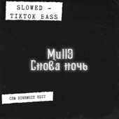 Snova Noch (feat. Mull3 Tiktok Slowed Version) [Tiktok Slowed Version] [Remix] artwork