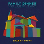 Snarky Puppy - One Hope (feat. KNOWER)