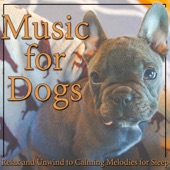 Music for Dogs: Relax and Unwind to Calming Melodies for Sleep artwork