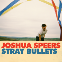 Joshua Speers - Stray Bullets artwork