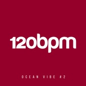 Ocean Vibe, Vol. 2 artwork