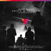 Shape & Shadow (Live From Fort Collins, CO) artwork