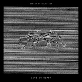 Ocelot of Salvation (Live) artwork