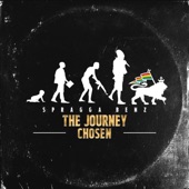 The Journey Chosen artwork