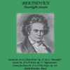 Beethoven: Moonlight Sonata artwork
