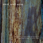 Skin and Wire (feat. Bill Bruford) artwork