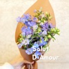 Salut D'Amour - Single, 2020