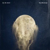 Dry Moonlight (Instrumental Version) artwork