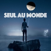 Seul Au Monde artwork