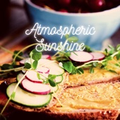 Atmospheric Sunshine - EP artwork