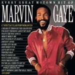 Marvin Gaye & Tammi Terrell - You're All I Need to Get By
