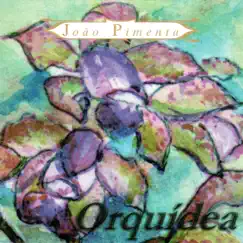 Orquídea by João Pimenta album reviews, ratings, credits