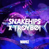 Snakehips/TroyBoi - Wavez