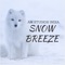 Snow Breeze - AM Studios India lyrics