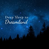 Deep Sleep to Dreamland artwork