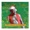 Clarence Clemons - The Christmas Song