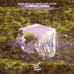 Coming Home by Adon, Nicolas Haelg & Sam Halabi album reviews, ratings, credits