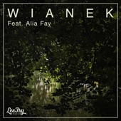 Lee Fry Music - Wianek (feat. Alia Fay)
