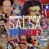 Grandes Éxitos de la Salsa, Vol. 2 (En Vivo) artwork