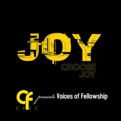 Choose Joy (feat. Doobie Powell) - Single by Voices of Fellowship album reviews, ratings, credits
