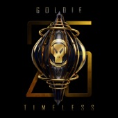 Timeless (Instrumental) [25 Year Remaster] artwork