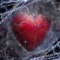 MY BLOODY VALENTINE (feat. Jatix) - BenzoBandito lyrics
