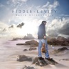 Fiddle Levity