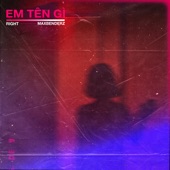 Em Tên Gì (feat. MAXBENDERZ) artwork