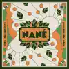 Clementine Tree - Single album lyrics, reviews, download