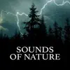 Sounds of Nature album lyrics, reviews, download