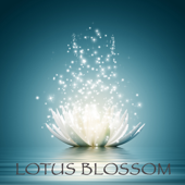 Lotus Blossom - Lotus Relaxation Yoga Music - Chakra Meditation Specialists