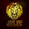The Everyday Shuffle - Jayline & Barikade lyrics