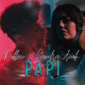 Papi artwork