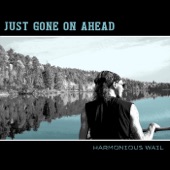 Harmonious Wail - Just Gone on Ahead