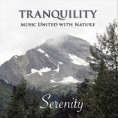 Tranquility: Music United With Nature - Nightfall