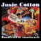 Deep Dark Hole - Josie Cotton lyrics