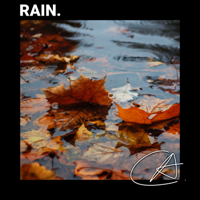 Rain Sounds Sleep, Rainfall & Rain Recorders - Calm Rain artwork