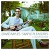 Simple Pleasures (Classified Mix) - Single