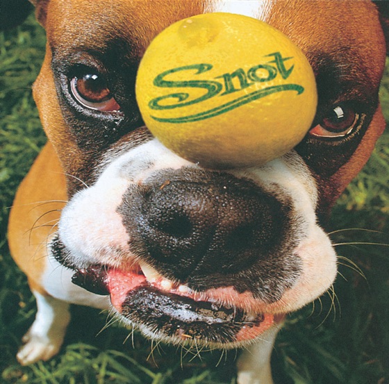 Cover artwork for Stoopid