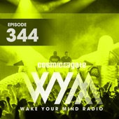 Wym344 artwork