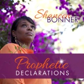 Prophetic Declarations artwork
