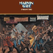 Marvin Gaye - Since I Had You