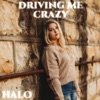 Driving Me Crazy - Single