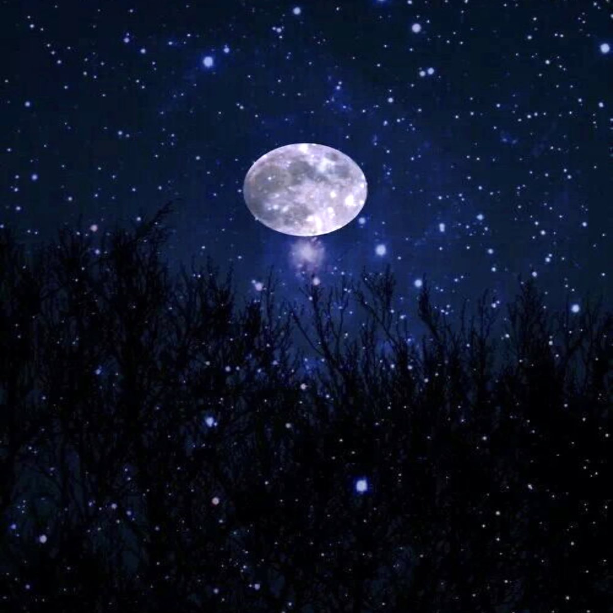 Aim for the Moon Shoot for the Stars - Single by Yashi2x on Apple Music