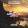 What a Wonderful World (Acoustic) - Single