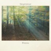 Woods - Single