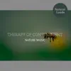 Therapy of Contentment - Nature Music album lyrics, reviews, download