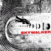 Skywalker artwork
